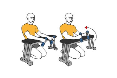 DUMBBELL WRIST RADIAL FLEXIONS ON FLAT BENCH - Exercises routines