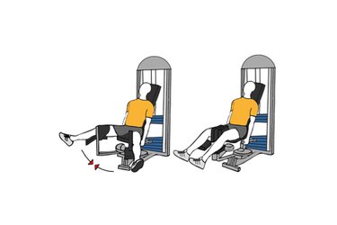 Seated hip adduction machine - Exercises, workouts and routines