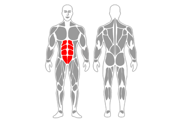 https://www.workoutsprograms.com/media/cache/exercise_375/uploads/exercise/contraccion-abdominal-profunda-con-elevacion-de-una-pierna-muscle-1933.png