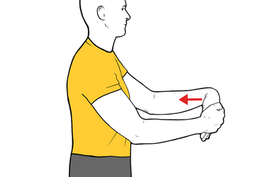 WRIST EXTENSORS STRETCH - Exercises, workouts and routines