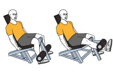 SEATED SINGLE-LEG EXTENSIONS - Exercises, workouts and routines