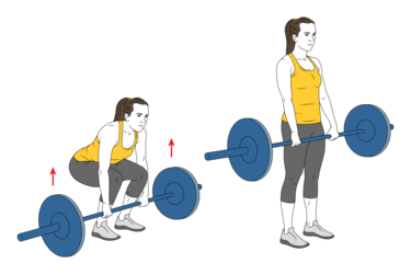 Barbell deadlift (Conventional) - Exercises routines