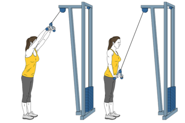 https://www.workoutsprograms.com/media/cache/exercise_375/uploads/exercise/pullover-con-cable-polea-de-pie-init-pos-9896.png