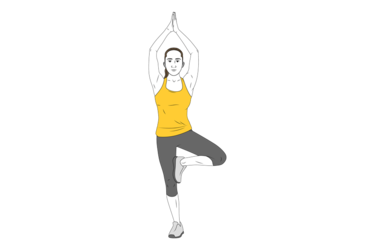https://www.workoutsprograms.com/media/cache/exercise_375/uploads/exercise/yoga-postura-del-arbol-o-vrksasana-init-pos-8391.png