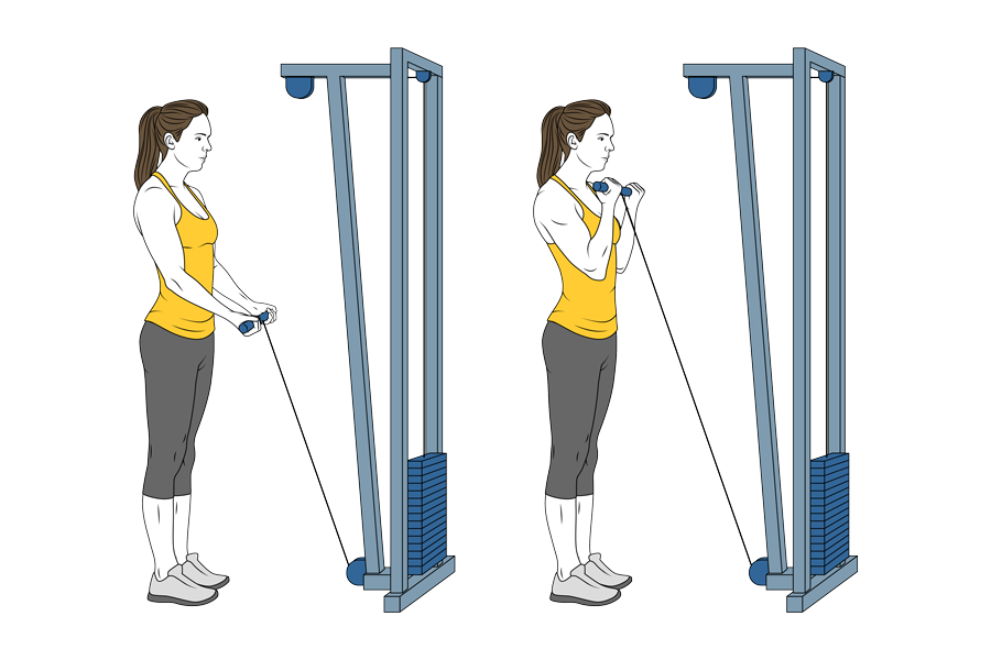 Standing biceps cable curl